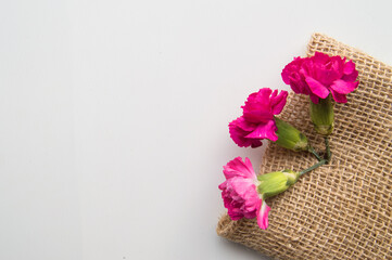 Spring layout for a creative greeting card, three pink carnations on a burlap and a place for text, the concept of design of a greeting card for mother's Day