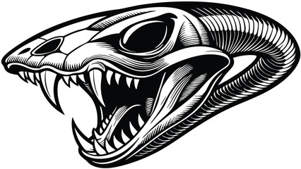 Snake Skull with Fangs