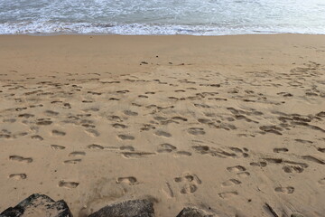 Sand ripples on the beach