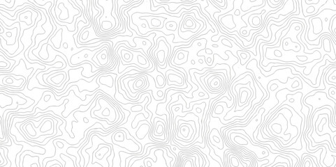 topography white background and black line wireframe isoline  location diagram world map texture design.