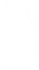 Smoke isolated on white background
