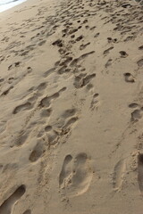 Sand ripples on the beach