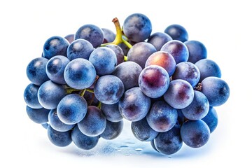 Double Exposure Macro Photo of Blue Grapes, Isolated Berries, White Background