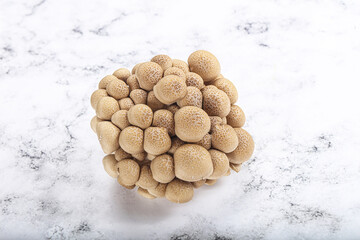 Raw asiam delicacy mushroom Shimeji