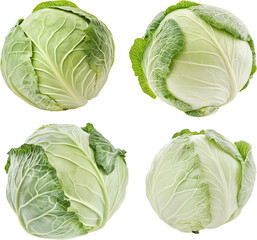 Fototapeta premium Cabbage isolated on transparent background, Perfect cabbages with crisp, green leaves are arranged in a captivating display, ready for your culinary creations.