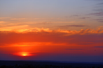 Fototapeta premium Beautiful natural bright saturated landscape view sky sunrise or sunset with orange red blue clouds flying by small swallow bird on warm summer evening. Wallpaper picture relaxation