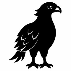eagle isolated on white
