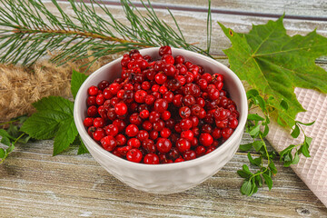 Natural organic wild forwst lingonberry