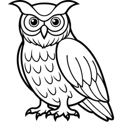 owl on white background