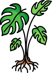 set of tree