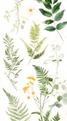 Watercolor painting of various green ferns, leaves, and flowers on white background.