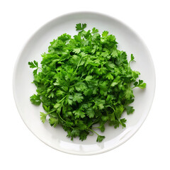 Fresh green lettuce leaves on white plate isolated on transparent background