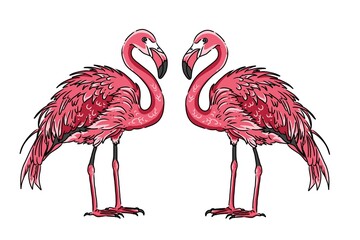illustration of flamingo birds facing each other to form a symbol of love