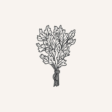 black and white herb bundle clip art preview
