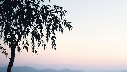 Silhouette of a tree against a pastel twilight sky with distant mountains
