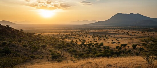 Fototapeta premium Sunset over African savanna landscape with mountains in the background.