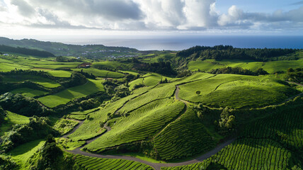 Fototapeta premium Beautiful Green Terraced Rice Fields on Mountain Slopes Under Blue Sky with Clouds