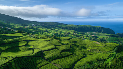 Obraz premium Beautiful Green Terraced Rice Fields on Mountain Slopes Under Blue Sky with Clouds