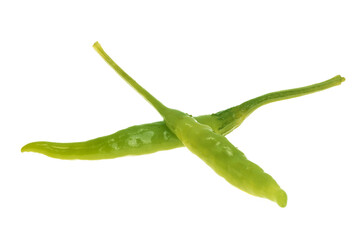green chili pepper isolated