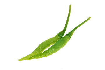 green chili pepper isolated
