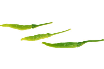 green chili pepper isolated