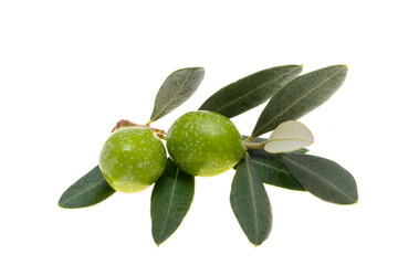 green olives isolated