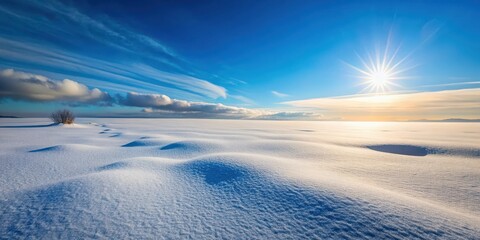Serene winter landscape with a brilliant sun, snowdrifts, and a lone shrub under a vibrant blue sky