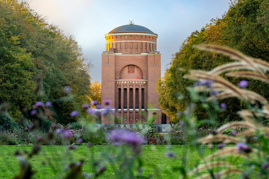 Das Planetarium in Hamburg abends in der goldenen Stunde, Blumen unscharf im Vordergrund, horizontal,