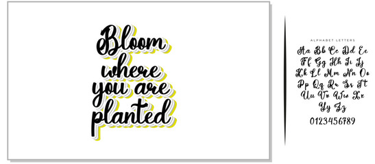 Hand drawn holiday lettering. Ink illustration. Modern brush calligraphy. Isolated on white background. Bloom where you are planted.