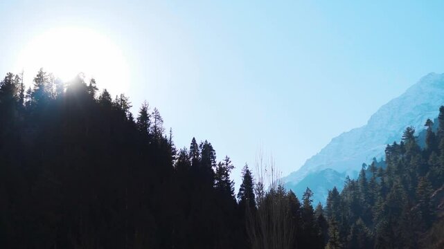 Silhouette shot of Pine tree forest on a Himalayan mountain peak with sun directly above it during a sunny day as seen from Manali in Himachal Pradesh, India. Natural background with copy space.