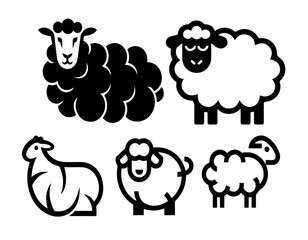 sheep  black sheep illustration,