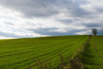 Jesień na polach Warmii 2024
