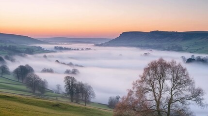 Obraz premium Misty Valley Sunrise Over Rolling Hills and Trees