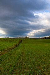 Warmińskie pola 2024