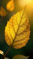 Fototapeta premium Sunlit yellow gold foil, delicate leaf veins visible; luxurious shine , bright, abstract, shimmer