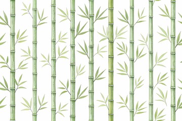 Obraz premium bamboo illustration
