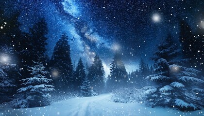 雪に包まれた森と満天の星空6