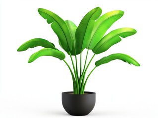 A large green plant is in a black pot