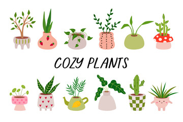 Set of different tropical house plant. Cozy plants in various pot, vase. Scandinavian home decor. Flat vector cartoon illustration isolated on white