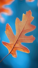 Fototapeta premium Autumn leaves falling in sunny park nature photography bright seasonal scenery vibrant outdoor environment