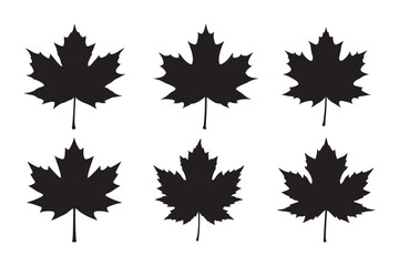 Maple leaf silhouette  Bundle, Maple leaf silhouette   vector 