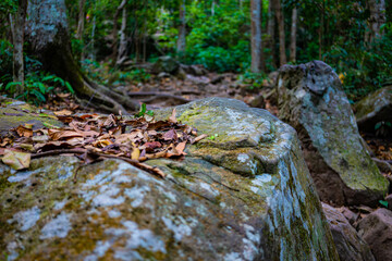 登山道(タイ)