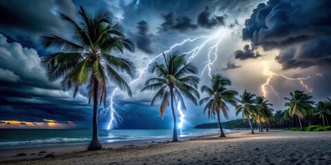 Dark stormy sky with lightning flashing and wind-swept palm trees on a deserted beach at night, darkness, night,  darkness
