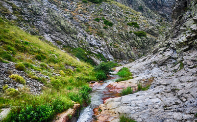 Water stream flowing between the grass and rocks