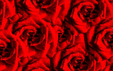 Naklejka premium (NO A.I.)a beautiful background of red roses like love