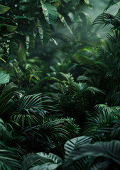 Lush Tropical Foliage with Sunlight Filtering Through in a Mystical Rainforest