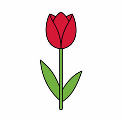 Tulip Flower Vector Art Illustration - Flat Minimalist Flower Design