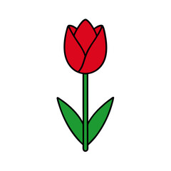 Tulip Flower Vector Art Illustration - Flat Minimalist Flower Design