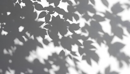 Abstract Shadows of Leaves on a Wall