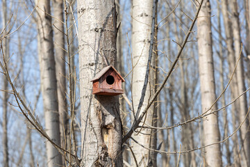 The bird's nest placed on the tree